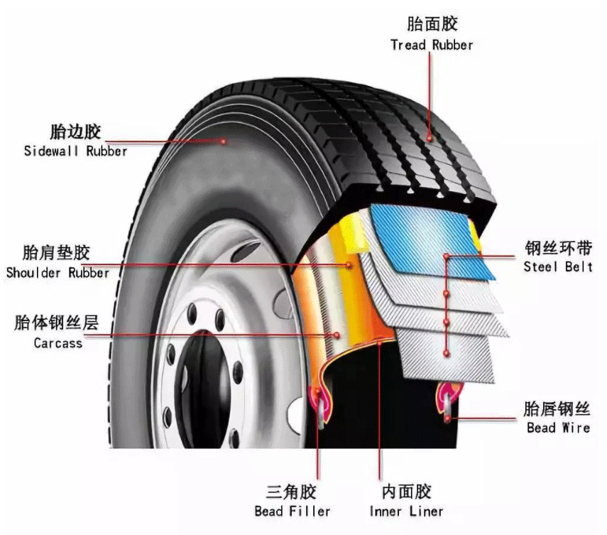 BIAS TIRE AND RADIAL TIRE